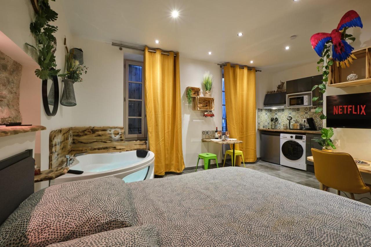 Place Carnot - Studio Tout Equipe Avec Jacuzzi Proche Toutes Commodites Καρκασόν Εξωτερικό φωτογραφία